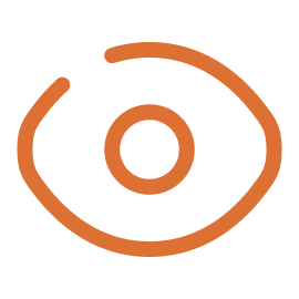 Vision Icon